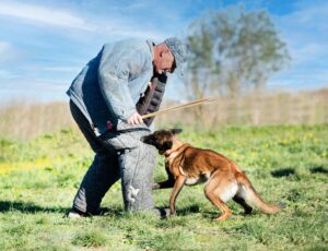 Dog Bite Lawyer in Long Island, New York area
